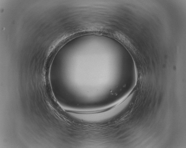 X0000064750676200602131227