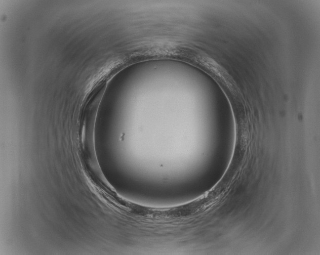 X0000064750677200602131227