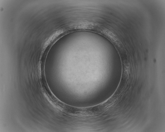 X0000064750678200602131227