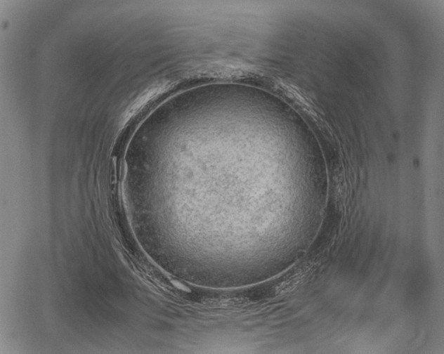 X0000064750679200602131227