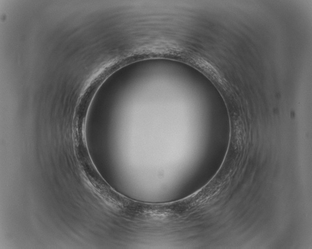 X0000064750680200602131227