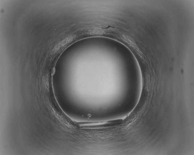 X0000064750681200602131227