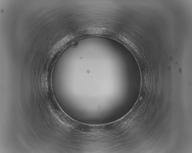 X0000064750682200602131227