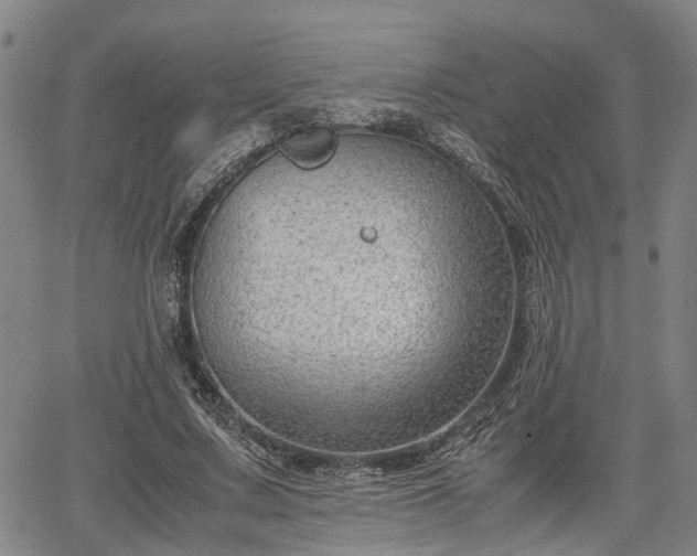 X0000064750683200602131227