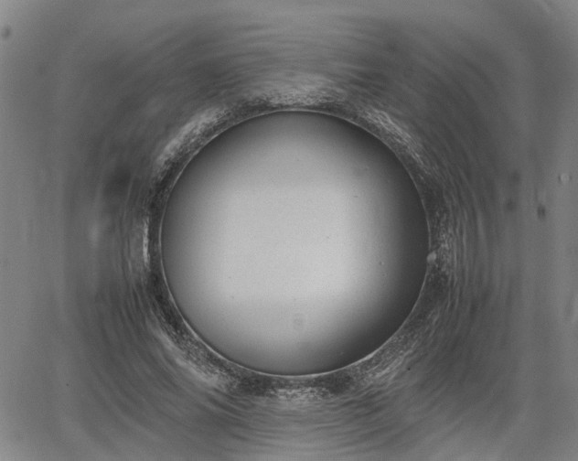 X0000064750686200602131227