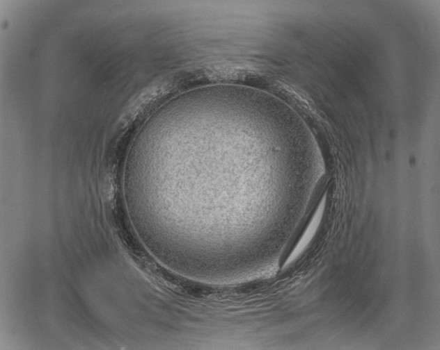 X0000064750687200602131227