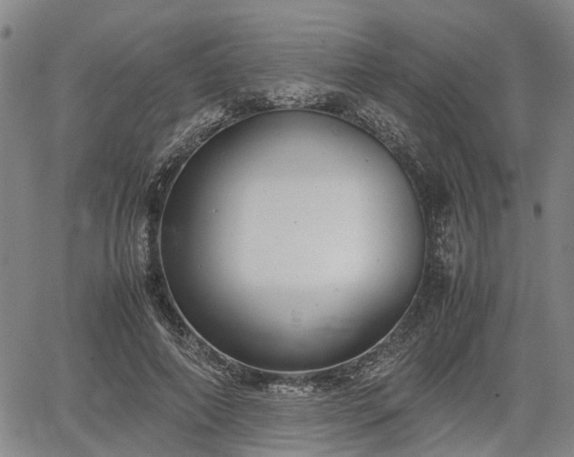 X0000064750690200602131227