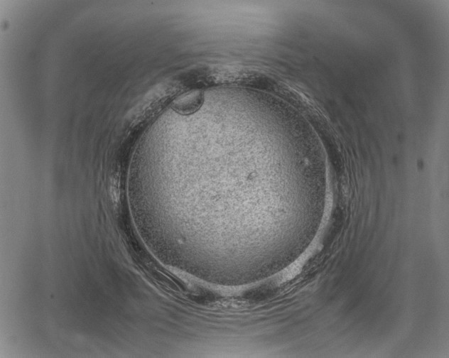 X0000064750691200602131227