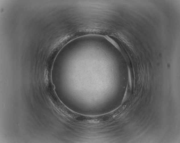 X0000064750692200602131227