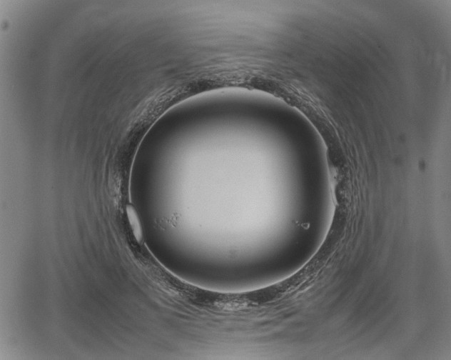 X0000064750693200602131227