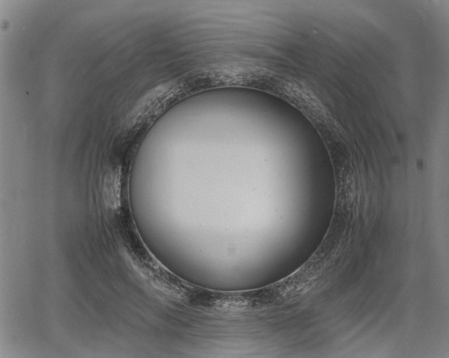 X0000064750694200602131227