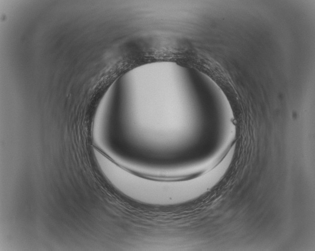 X0000064750697200602131227