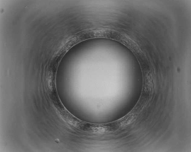 X0000064750698200602131227