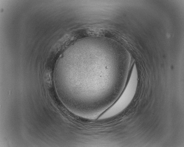 X0000064750699200602131227