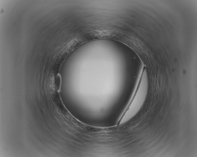 X0000064750700200602131227