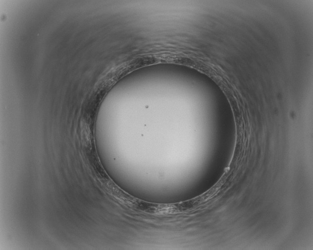 X0000064750705200602131227