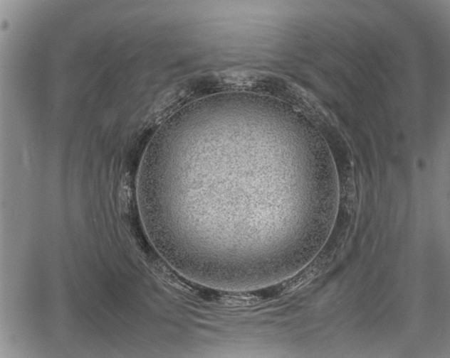 X0000064750707200602131227