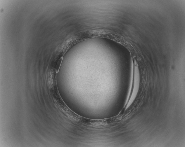 X0000064750708200602131227