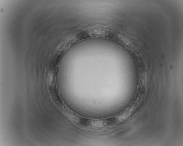 X0000064750709200602131227