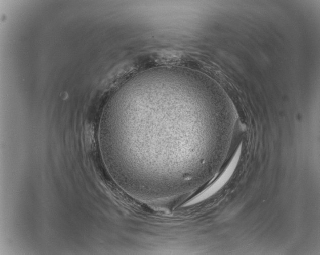 X0000064750711200602131227