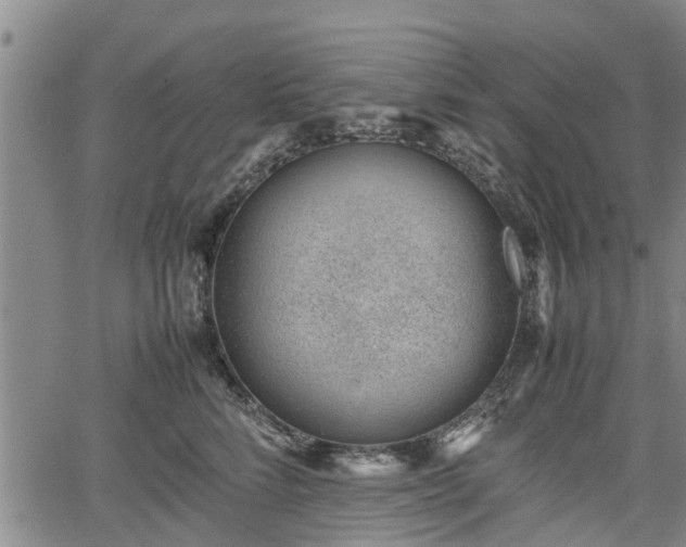 X0000064750712200602131226