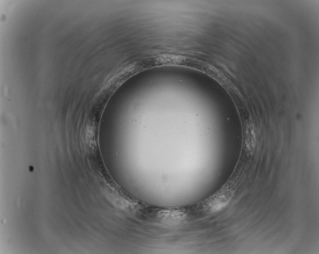 X0000064750714200602131226