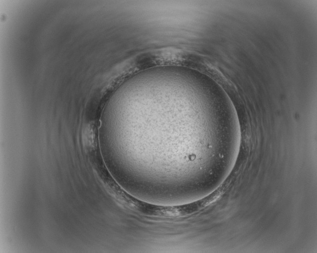 X0000064750715200602131226