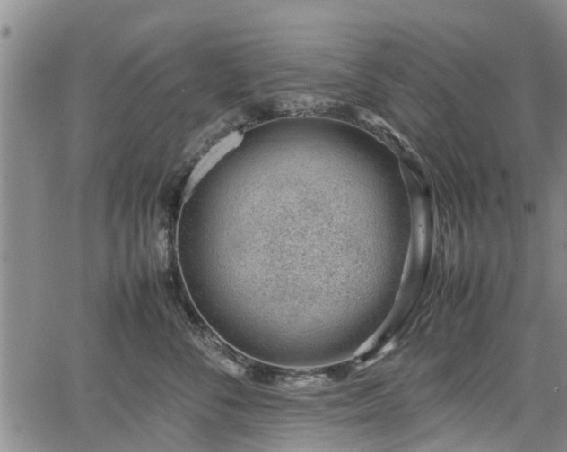 X0000064750716200602131226