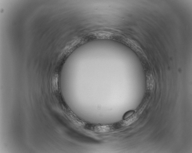 X0000064750717200602131226