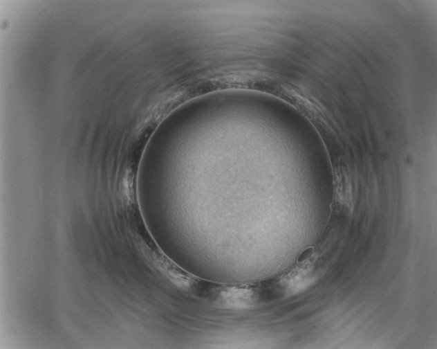 X0000064750718200602131226