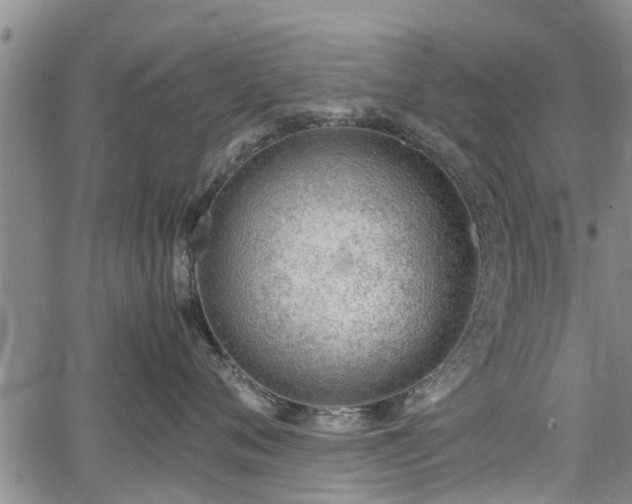 X0000064750720200602131226