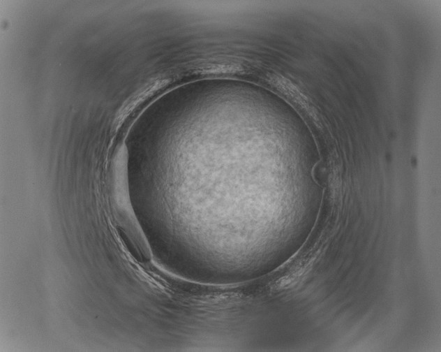 X0000064750721200602131225