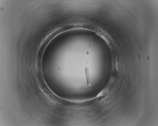 X0000064750722200602131225