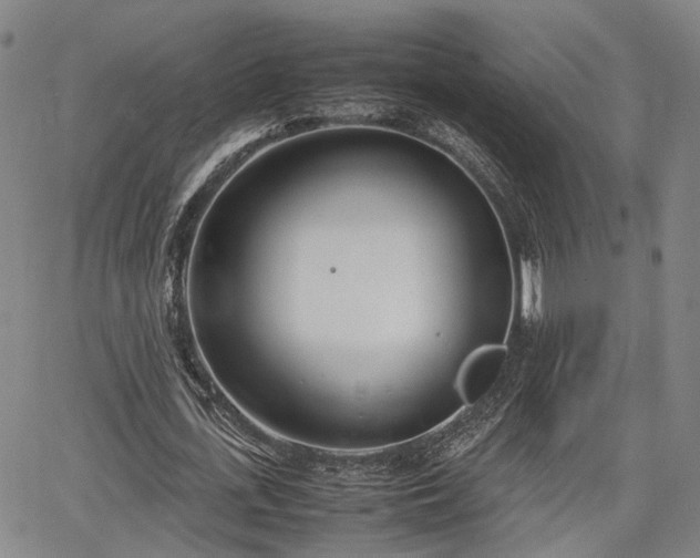 X0000064750723200602131226