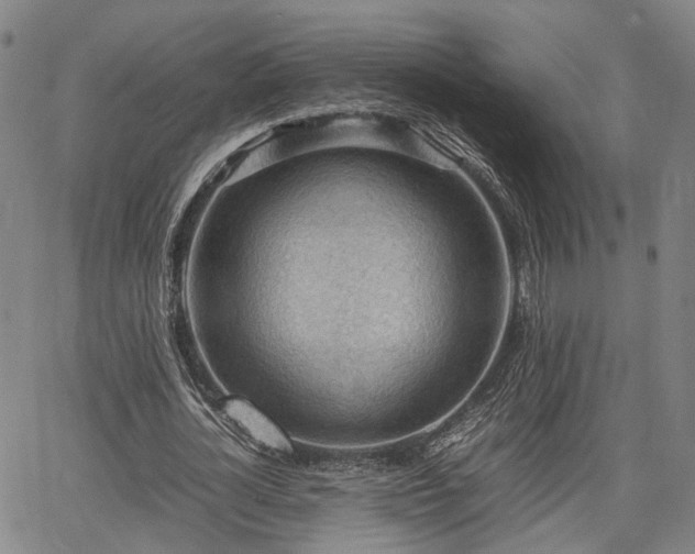 X0000064750724200602131226