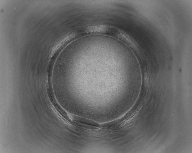 X0000064750725200602131226