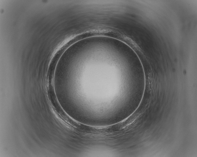 X0000064750726200602131226