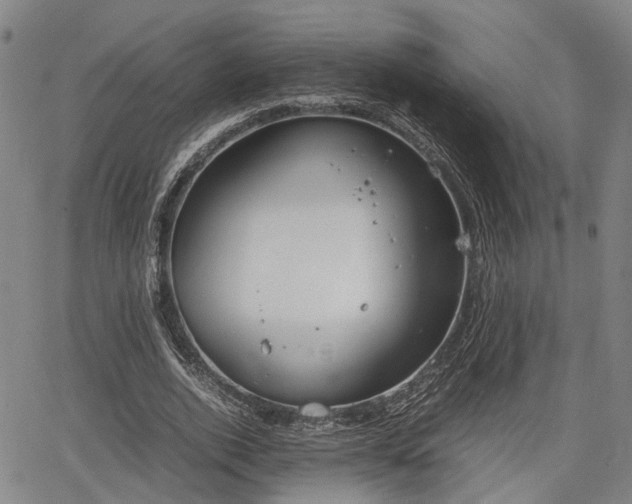 X0000064750728200602131226