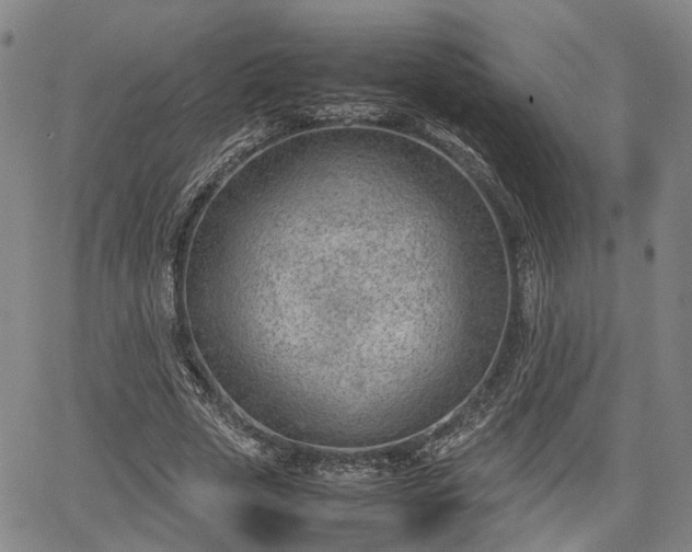 X0000064750729200602131226