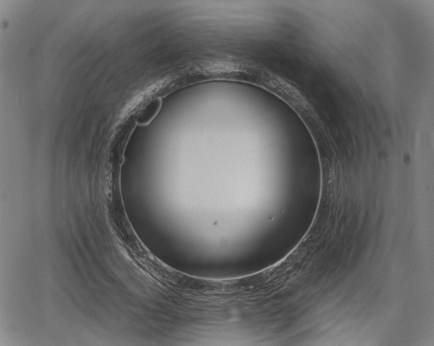 X0000064750732200602131226