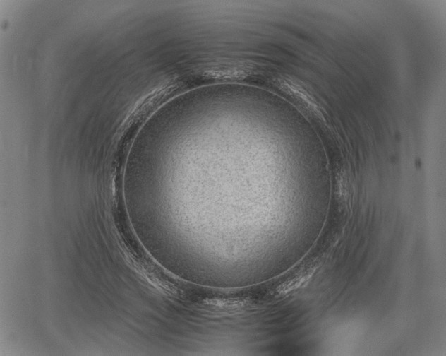 X0000064750733200602131226