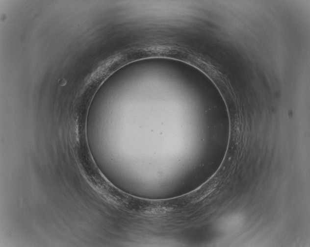 X0000064750734200602131226