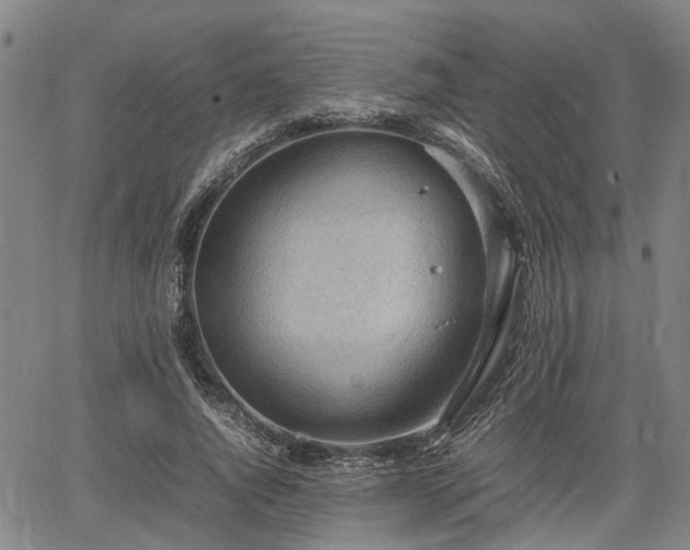 X0000064750736200602131226