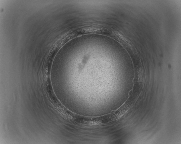 X0000064750737200602131226