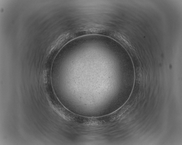 X0000064750738200602131226