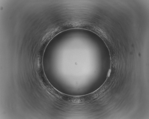 X0000064750740200602131226