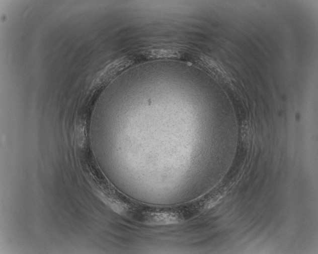 X0000064750741200602131226