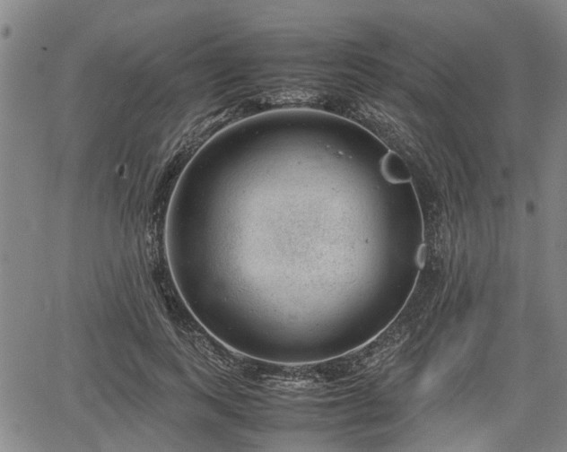 X0000064750743200602131226