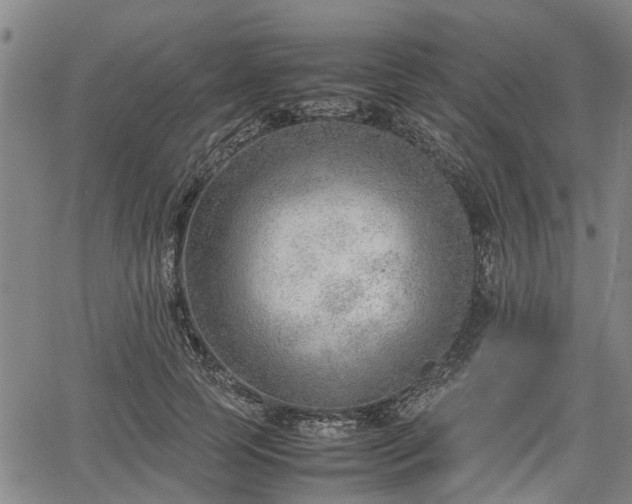 X0000064750745200602131226