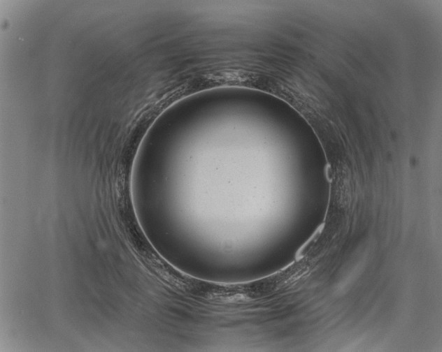 X0000064750747200602131226